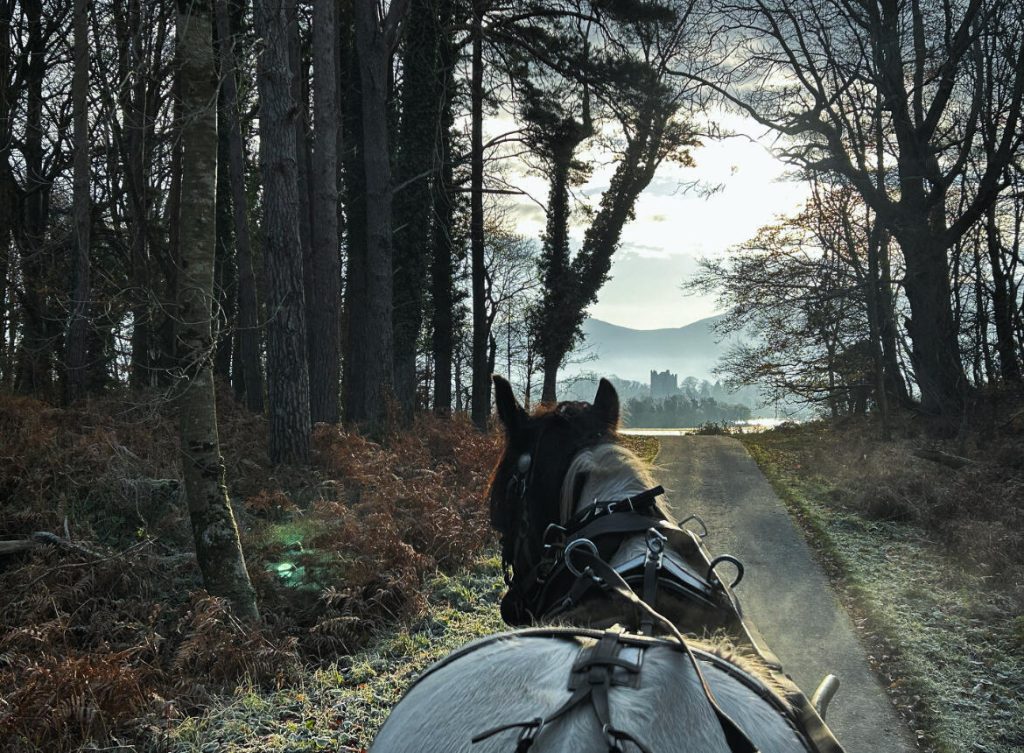 Hotel Near Killarney National Park
